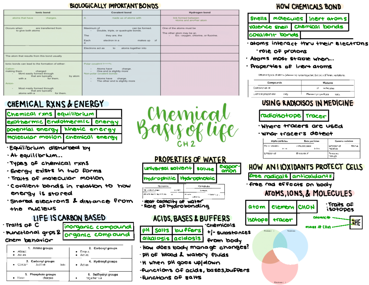 Chemical Basis of Life SG (BIOL 110 ...