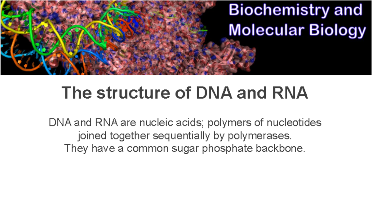 MEDS2003 biochemistry and molecular biology lecture 2 - The structure ...