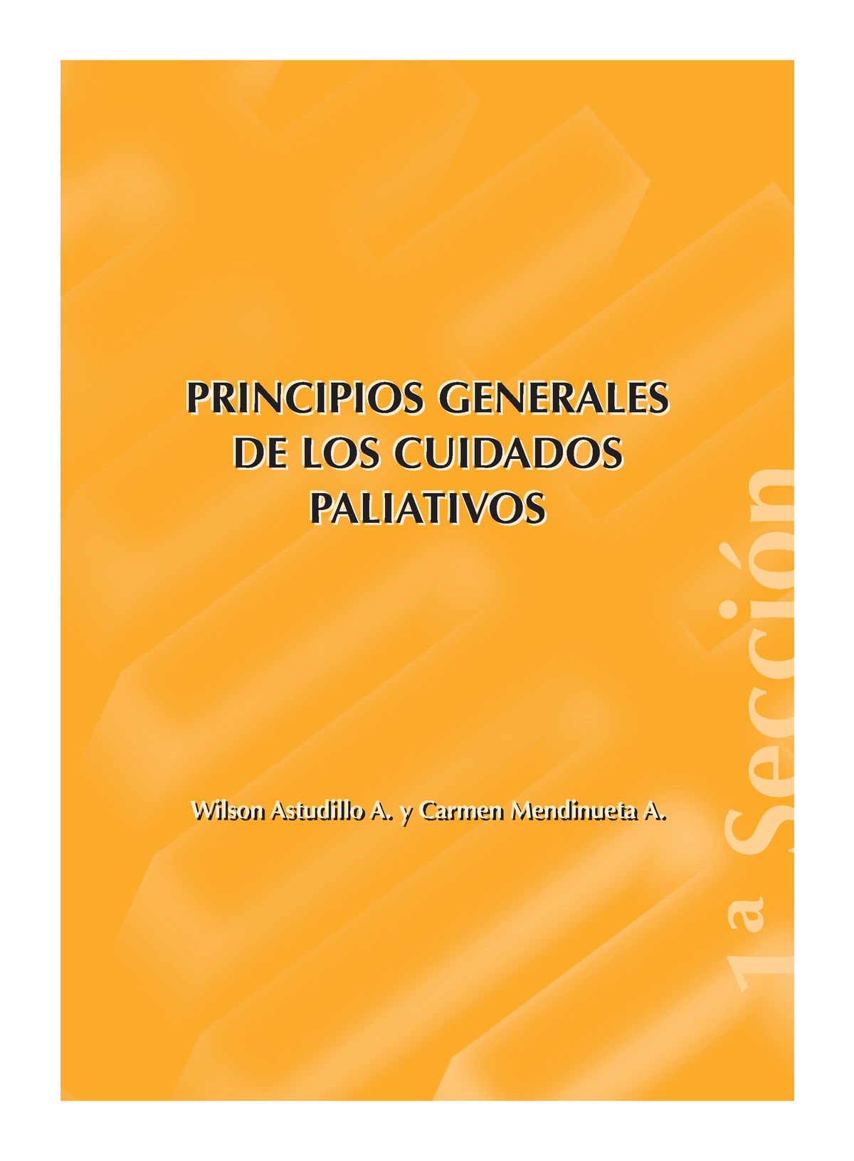 Principios Generales De Los Cuidados Paliativos Wilson Astudillo A Y Carmen Mendinueta A