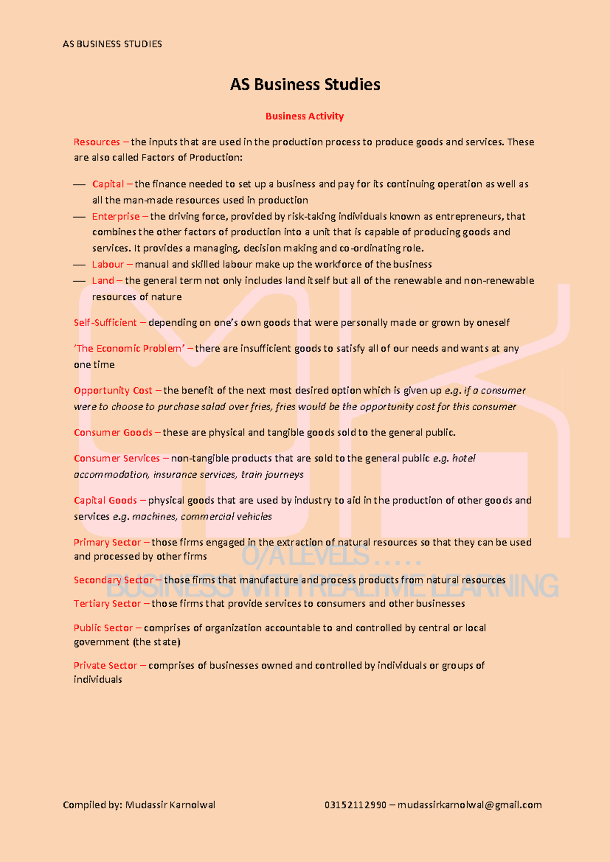 Business Studies Notes - AS Business Studies Business Activity ...