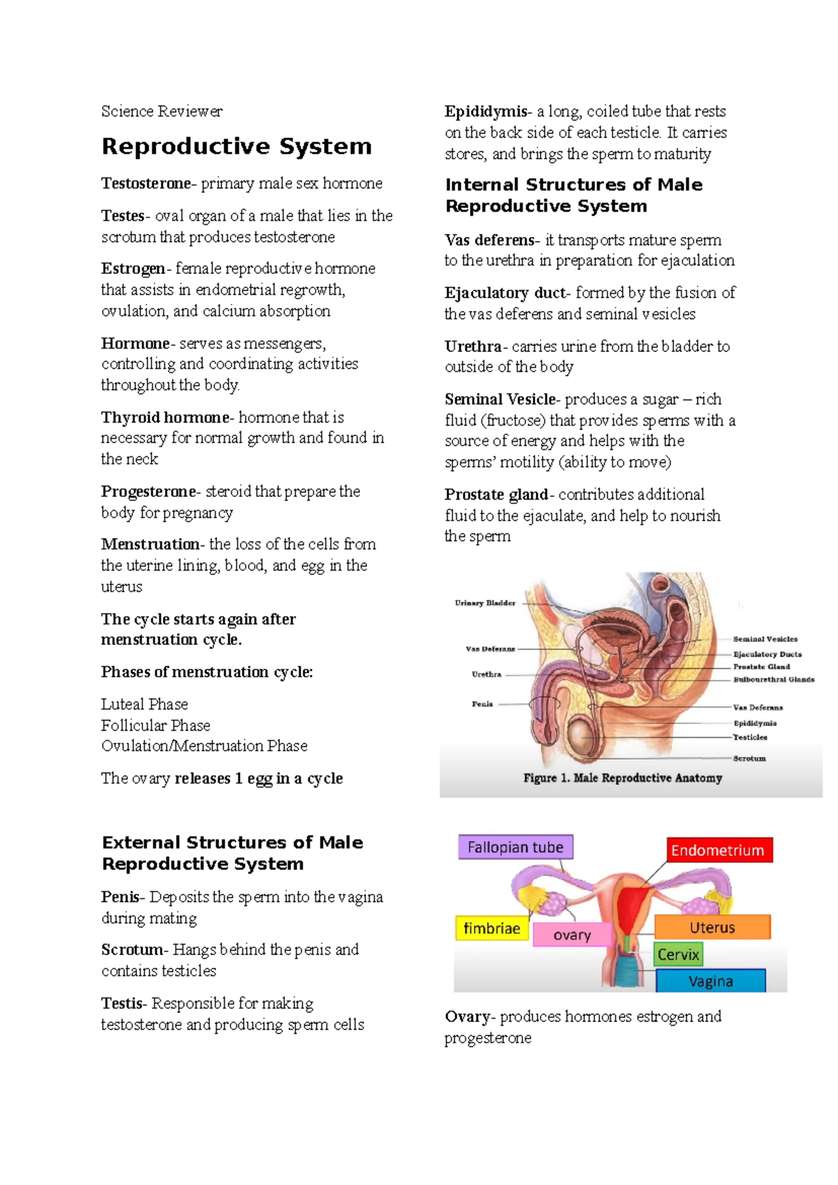 Science-Reviewer-Q3 - Science Reviewer Reproductive System Testosterone ...