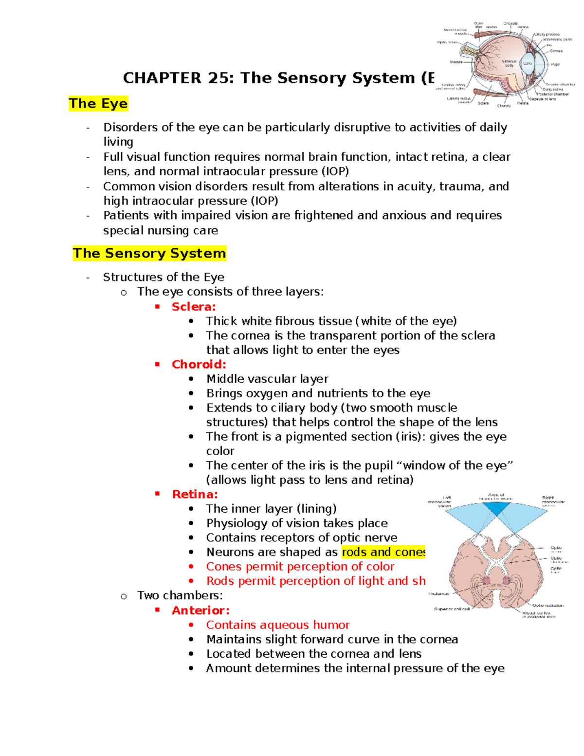 Chapter 25 Notes - The sensory system (EYE) - CHAPTER 25: The Sensory ...