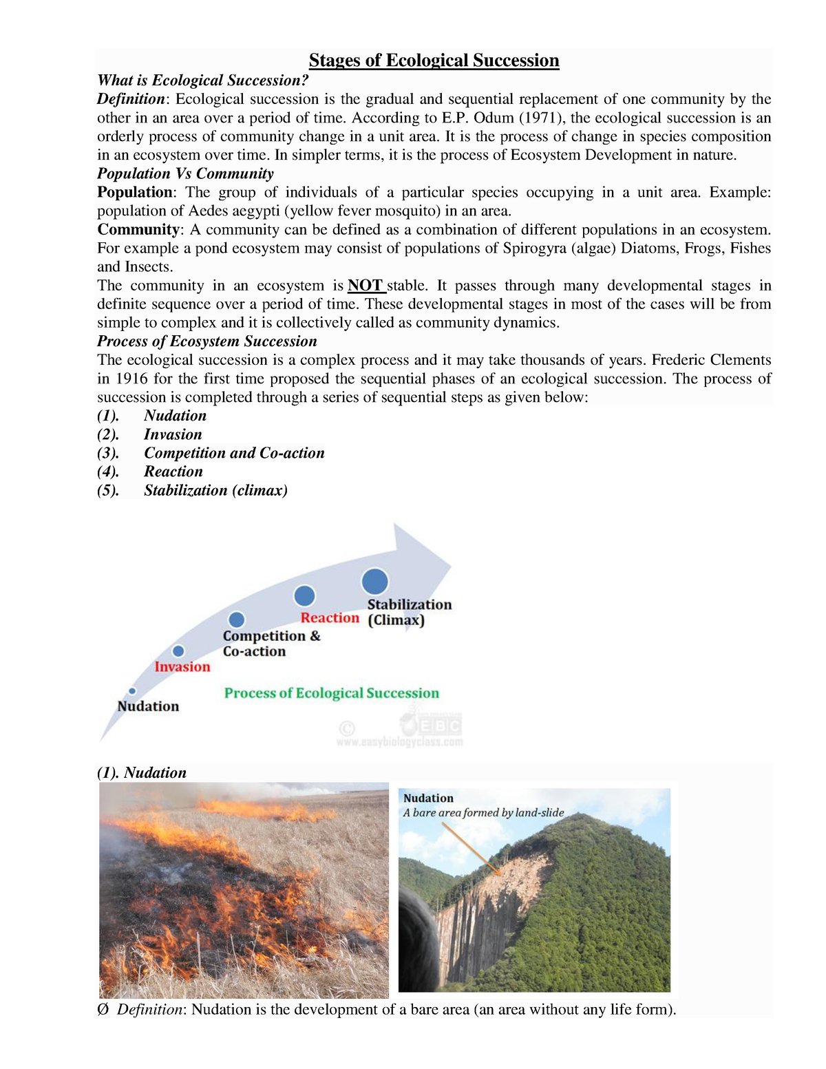 ecological-succession-according-to-e-odum-1971-the-ecological