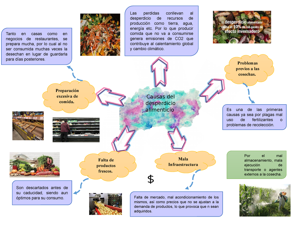 Mapa Mental Empatia - Las perdidas conllevan al desperdicio de recursos de  producción como tierra, - Studocu