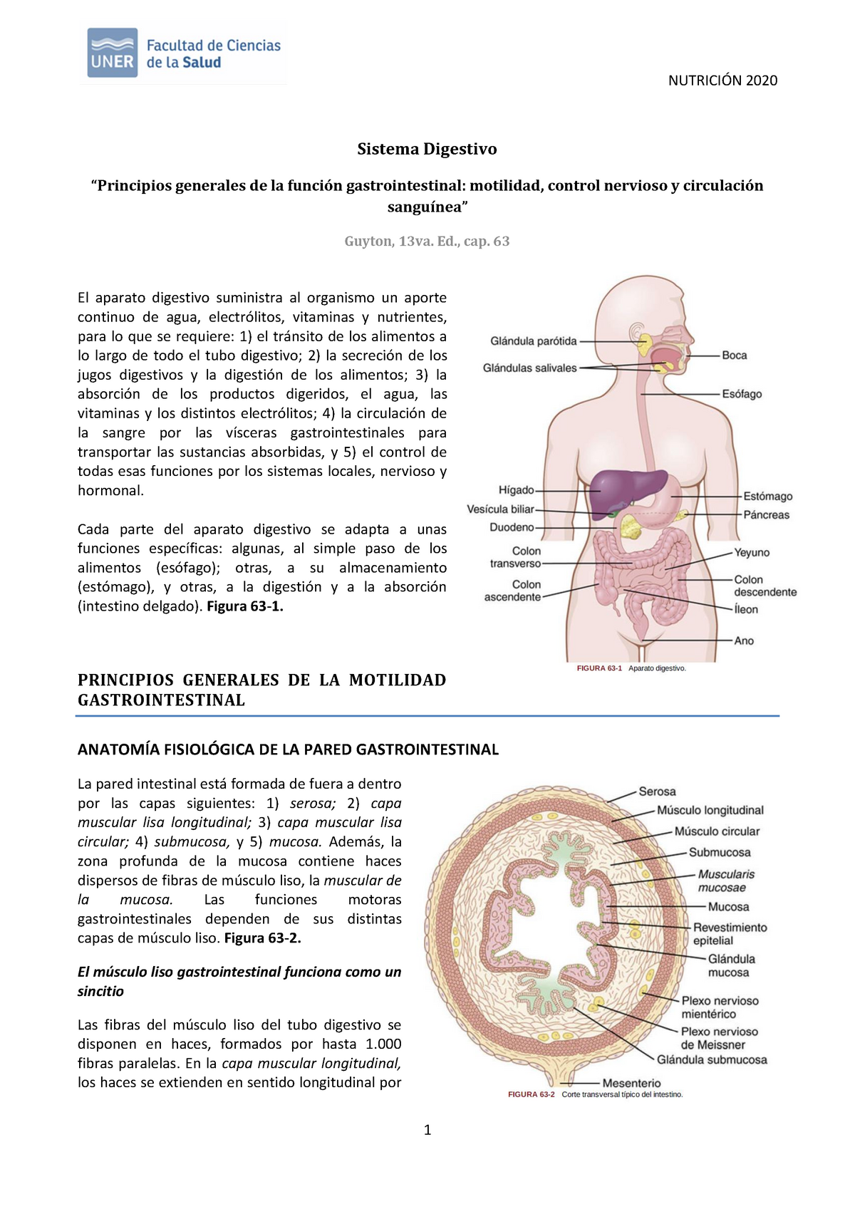 PRINCIPIOS GENERALES DE LA FUNCIÓN GASTROINTESTINAL, MOTILIDAD, CONTROL ...