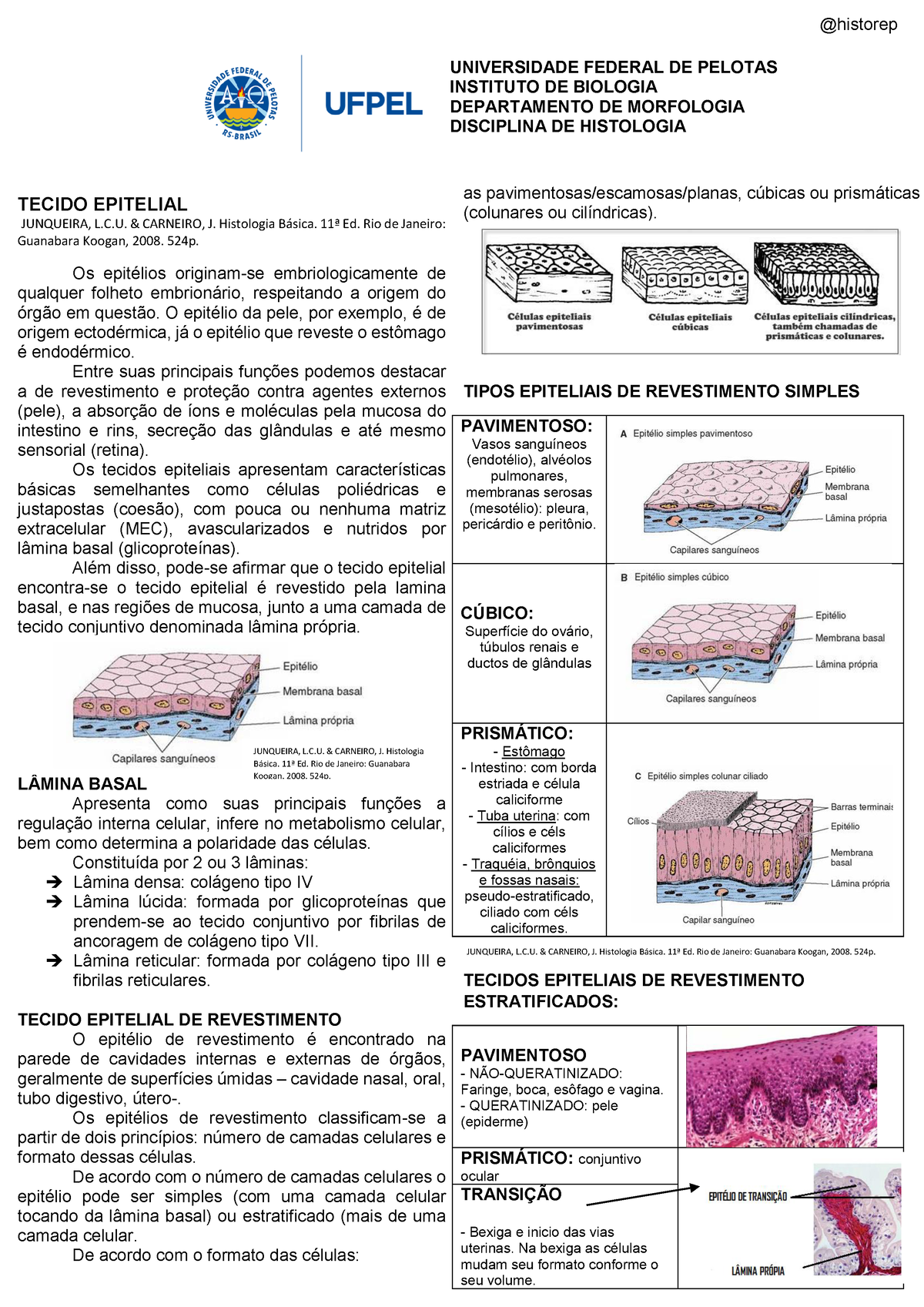 Resumo Tecido Epitelial E Glandular Universidade Federal De Pelotas Instituto De Biologia 2229