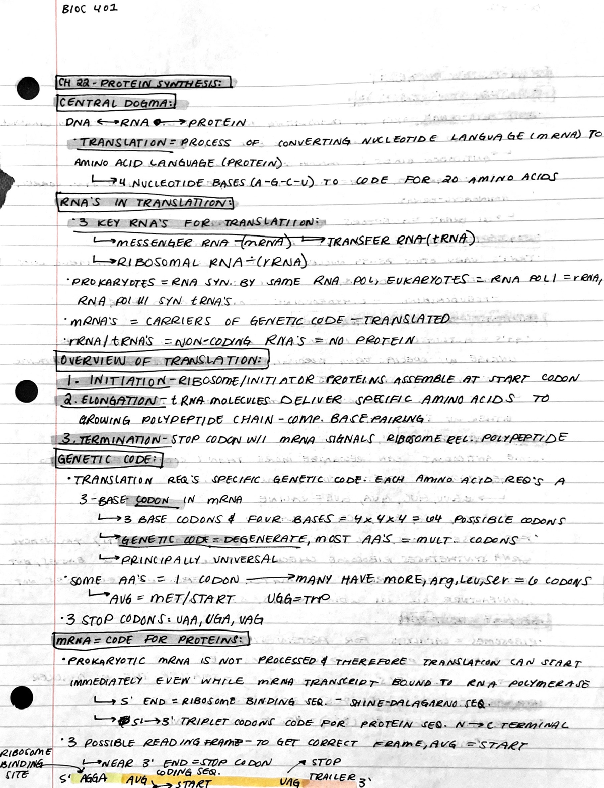 UNL BIOC 401 CH 22 Notes - | Bloc Wor ® pos as) ee DNA, 