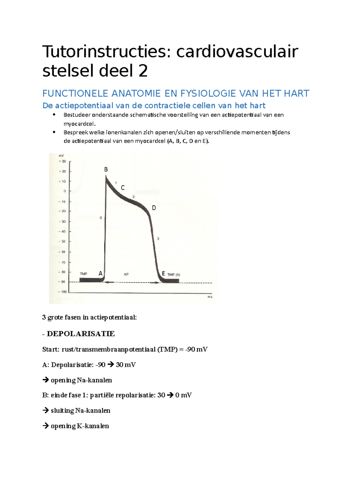 Werkzitting Deel 2 - Tutorinstructies: Cardiovasculair Stelsel Deel 2 ...