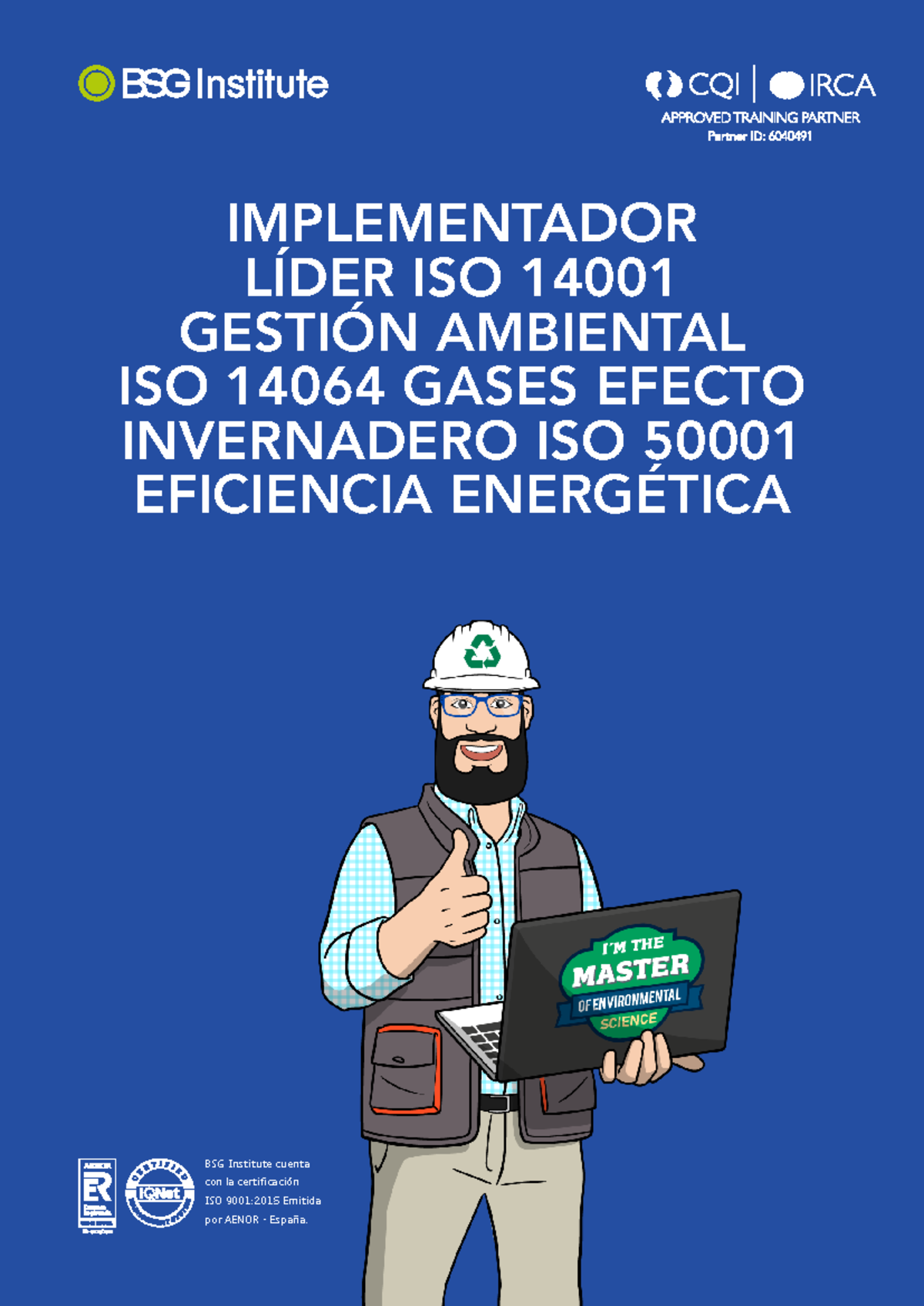 Implementador lider iso14001 iso14064 iso50001 - BSG Institute cuenta ...
