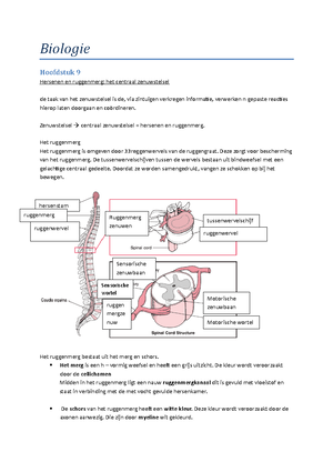 Nando 1 Module 14 Hoofdbewerkingen met rationale getallen CS BB - Nando ...
