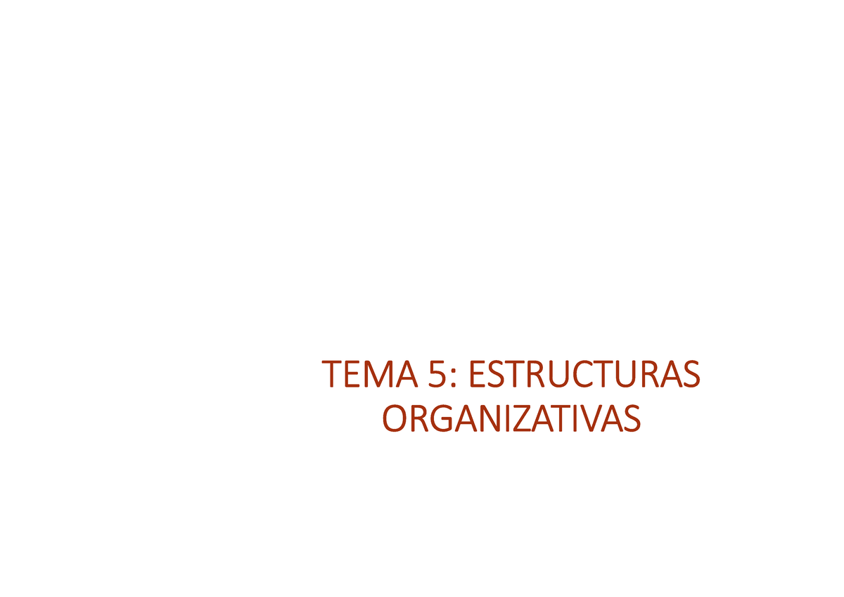 Tema 5 Las Estructuras Organizativas Tema 5 Estructuras Organizativas Indice DiseÑo Del 9965