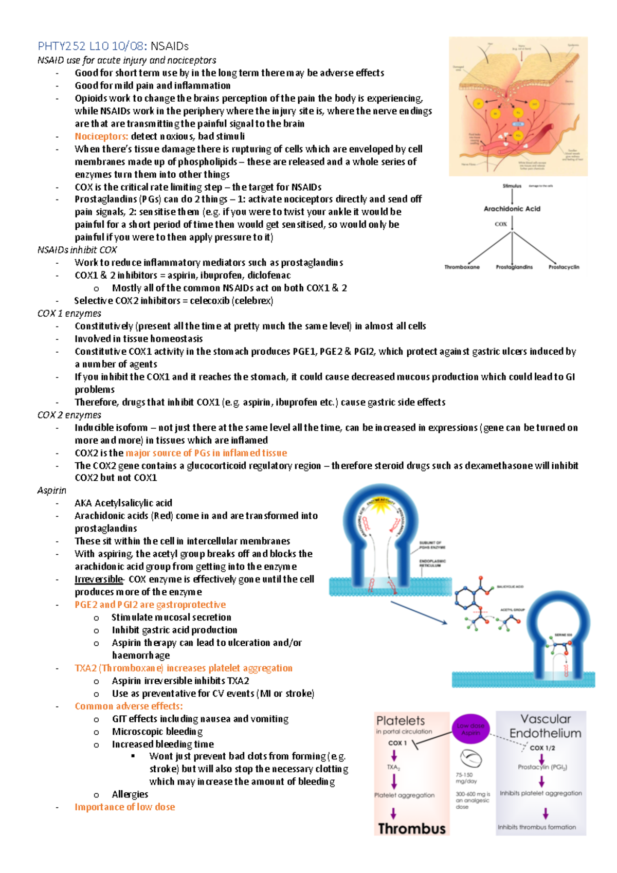 Pharmacology Notes L10 - Warning: TT: undefined function: 32 PHTY252 ...