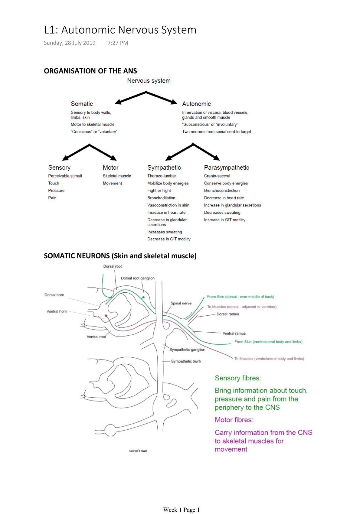 Week 1 - Lecture Notes 1-3 - Warning: TT: Undefined Function: 32 ...