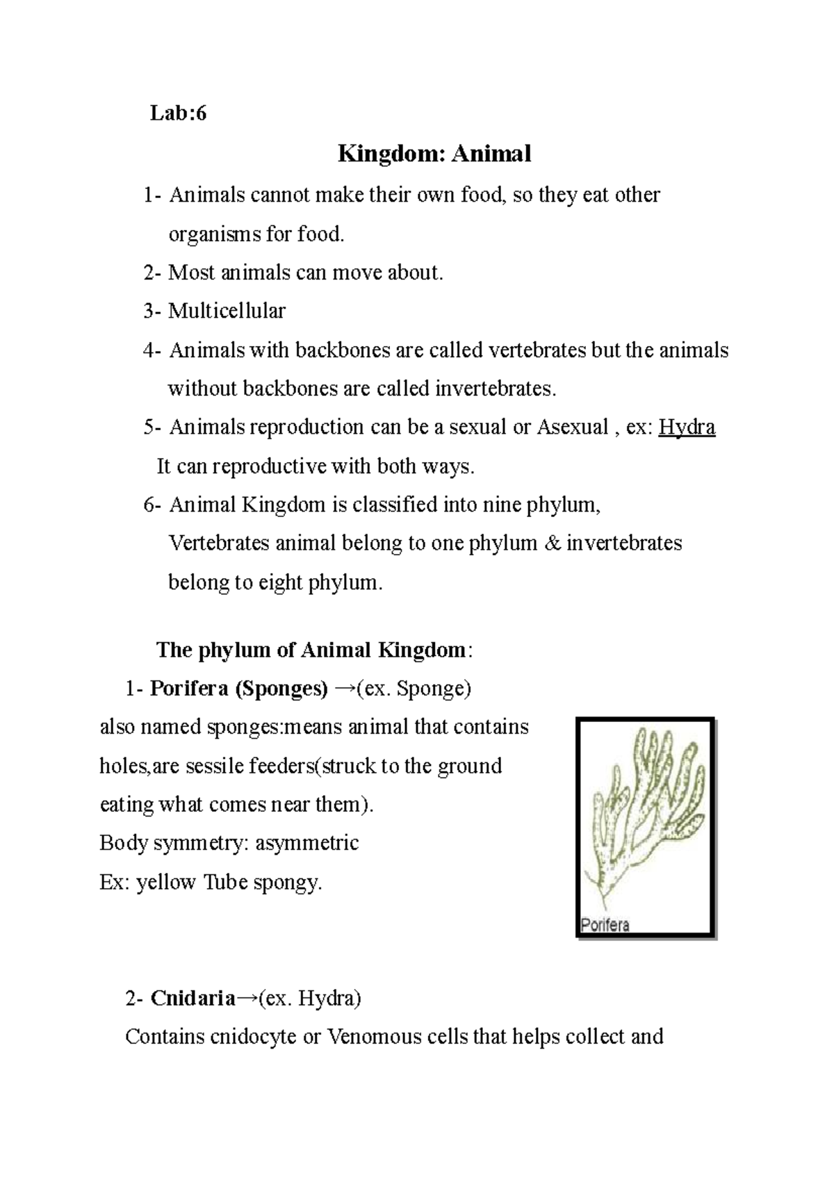 Animal kingdom - Lab: Kingdom: Animal 1- Animals cannot make their own ...