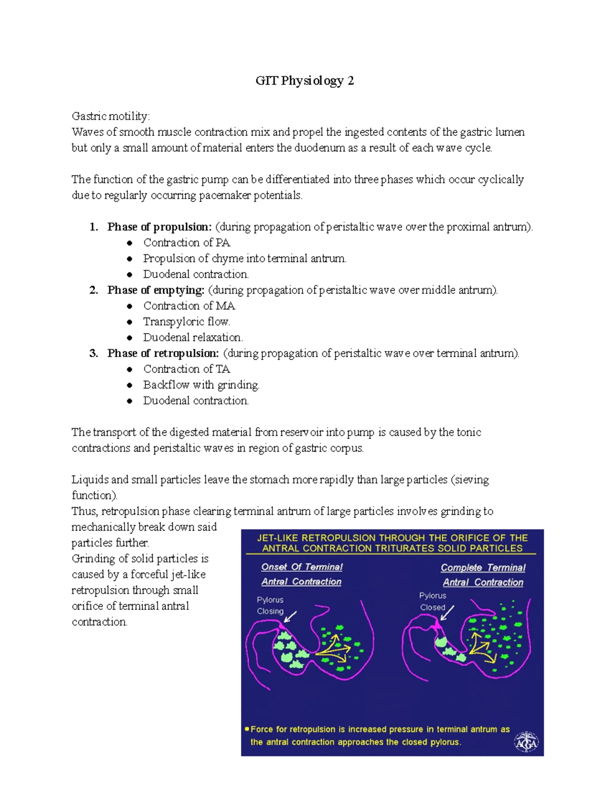 Respiratory Physiology 2 - Transpulmonary pressure - Ptp Pressure ...