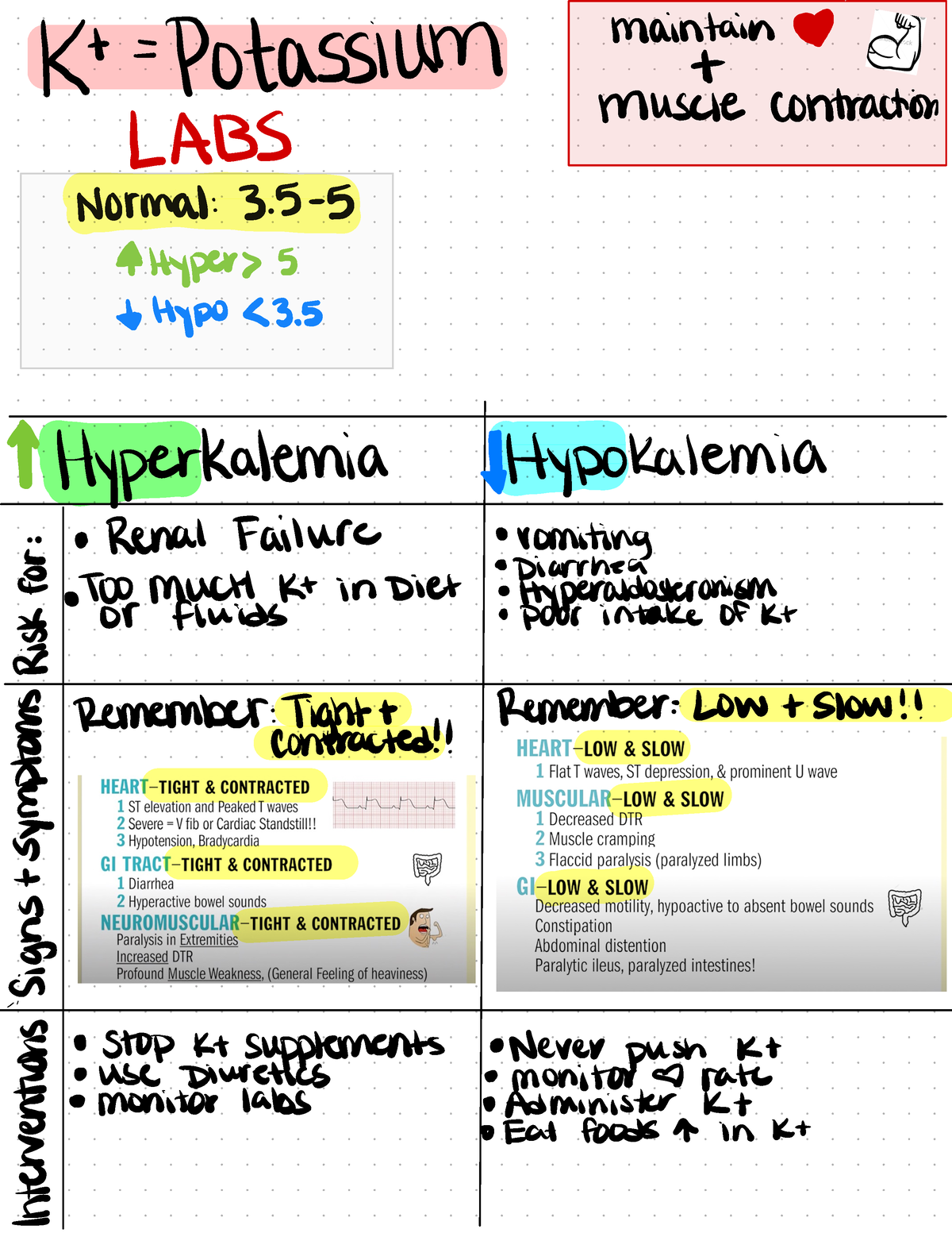 Electrolyte Worksheets - Maintain Kt = Potassium * Muscle Contraction 