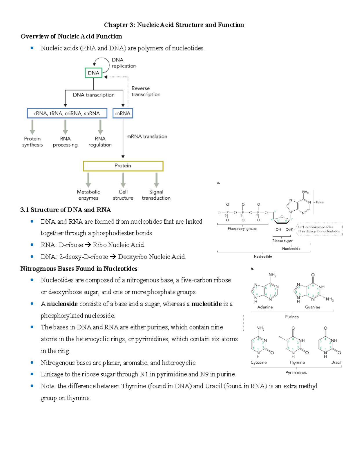CH3 Summary Chapter 3 Nucleic Acid Structure and Function Overview of Nucleic Acid Function