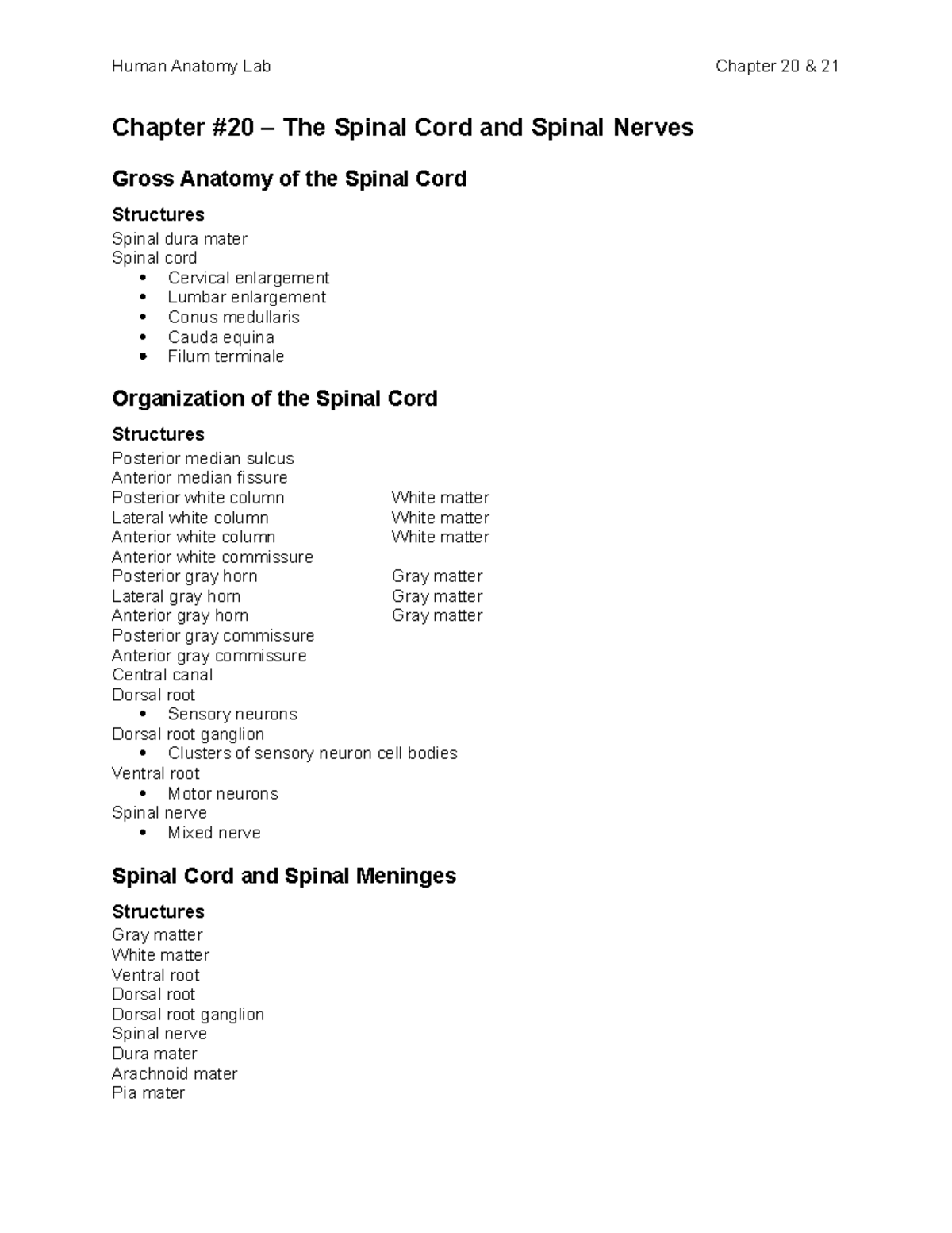 Human Anatomy - Chapter 20 and 21 Exam Study Guide - Chapter #20 – The ...