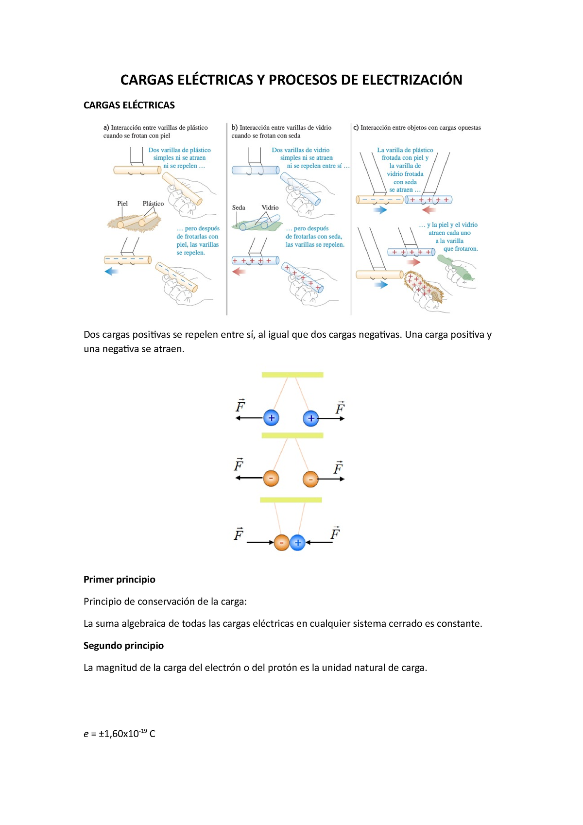 Cargas Eléctricas Y Procesos DE Electrización - CARGAS ELÉCTRICAS Y ...