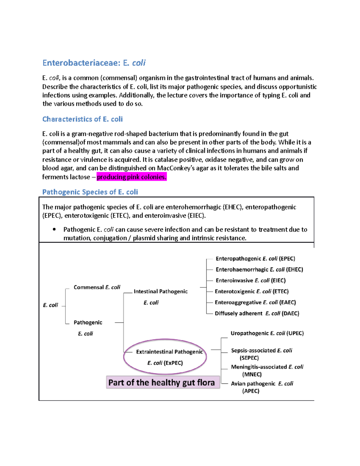 E. coli - Complete Lecture notes - Enterobacteriaceae: E. coli E. coli ...