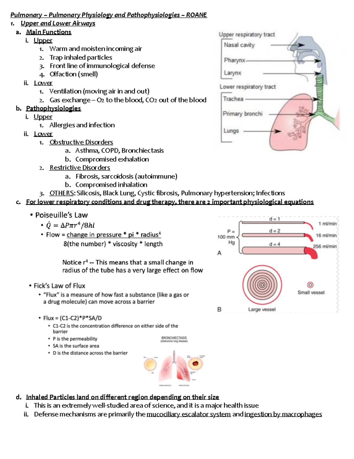 Pulmonary - Physiology and Pathophysiology - Pulmonary – Pulmonary ...