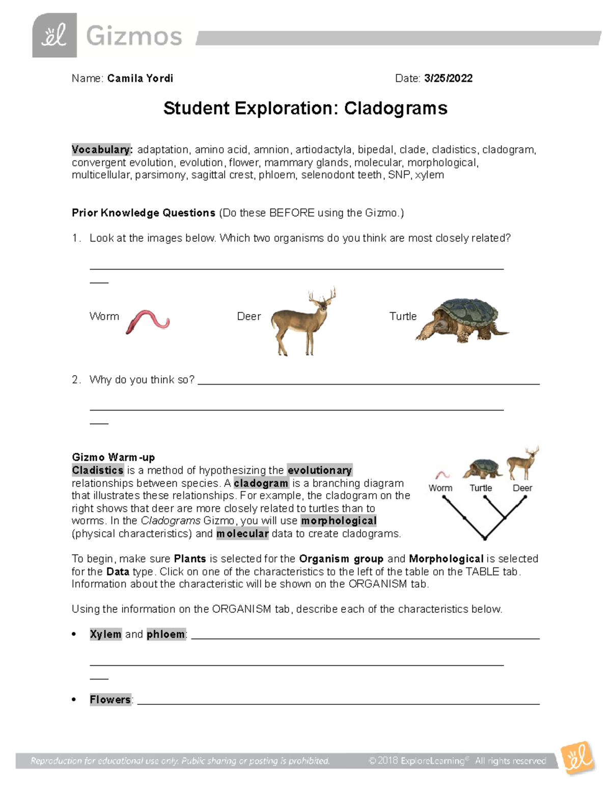 Cladograms Student Exploration Sheet BIOL 3185 UNI Studocu cladograms-student-exploration-sheet-biol-3185-uni-studocu