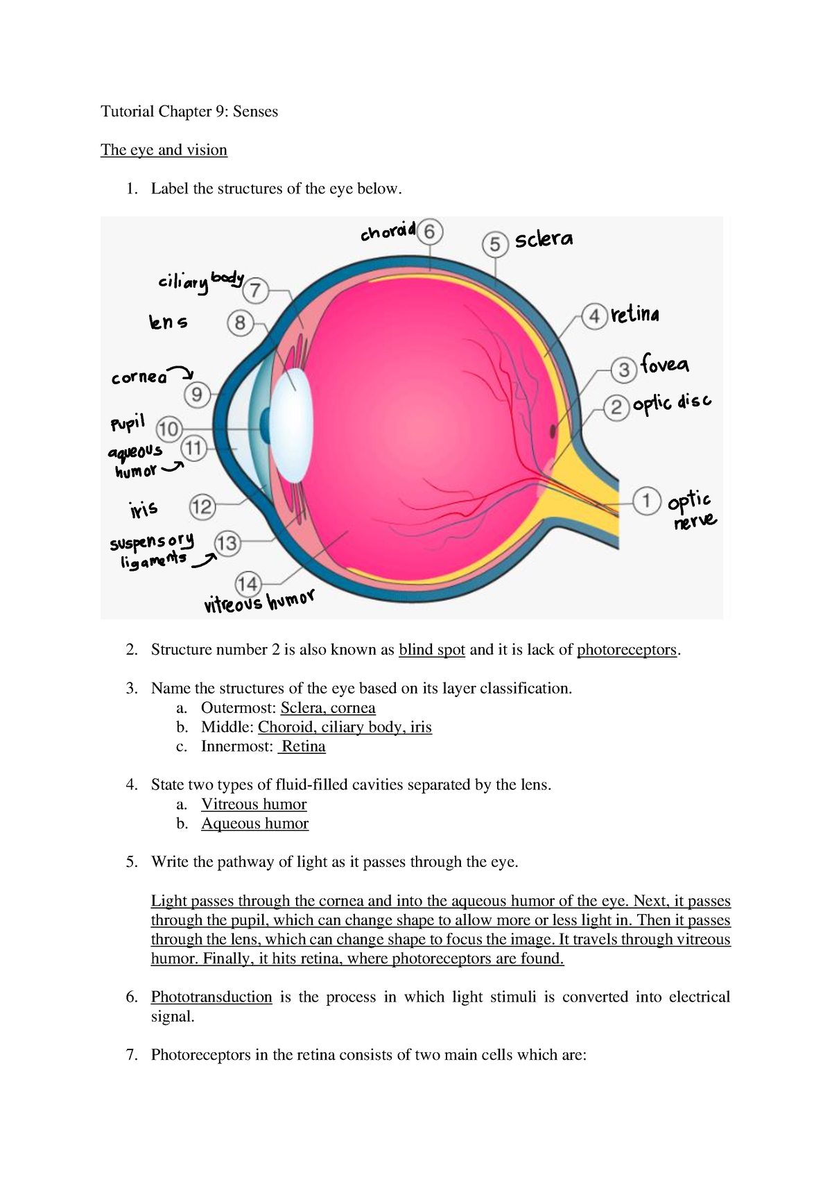 TUTO Senses - tipu je tuu..tu tuto chapter 9 sense - Tutorial Chapter 9 ...