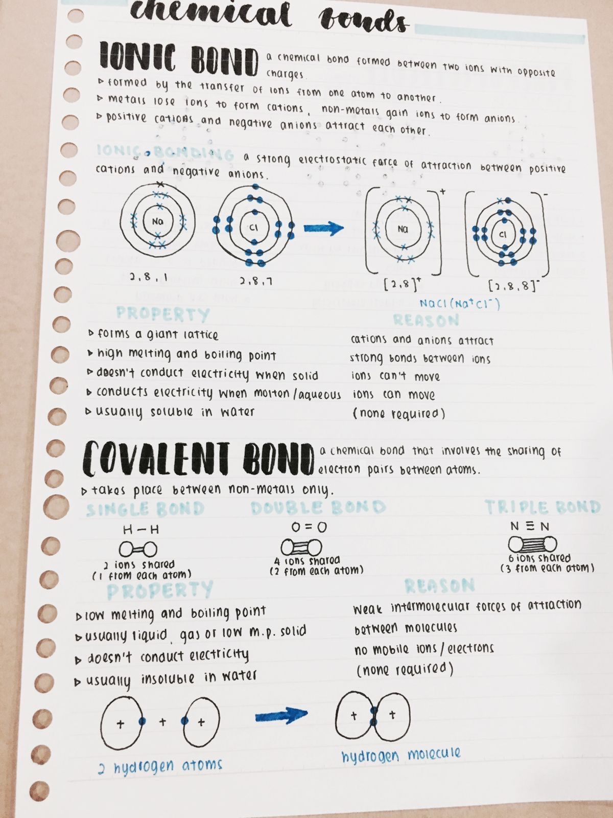 Anatomy and physiology notes - BIOL 101 - Studocu