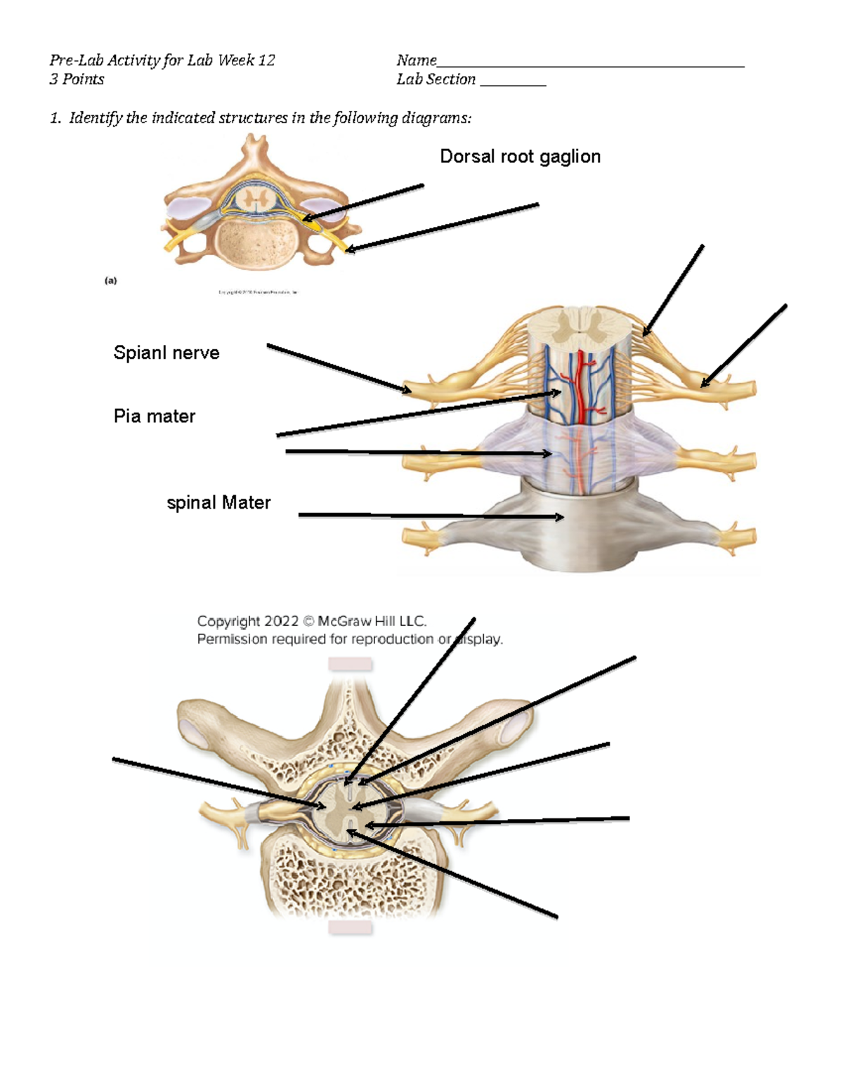 Notes - Pre-Lab Activity for Lab Week 12 Name 3 Points Lab Section ...