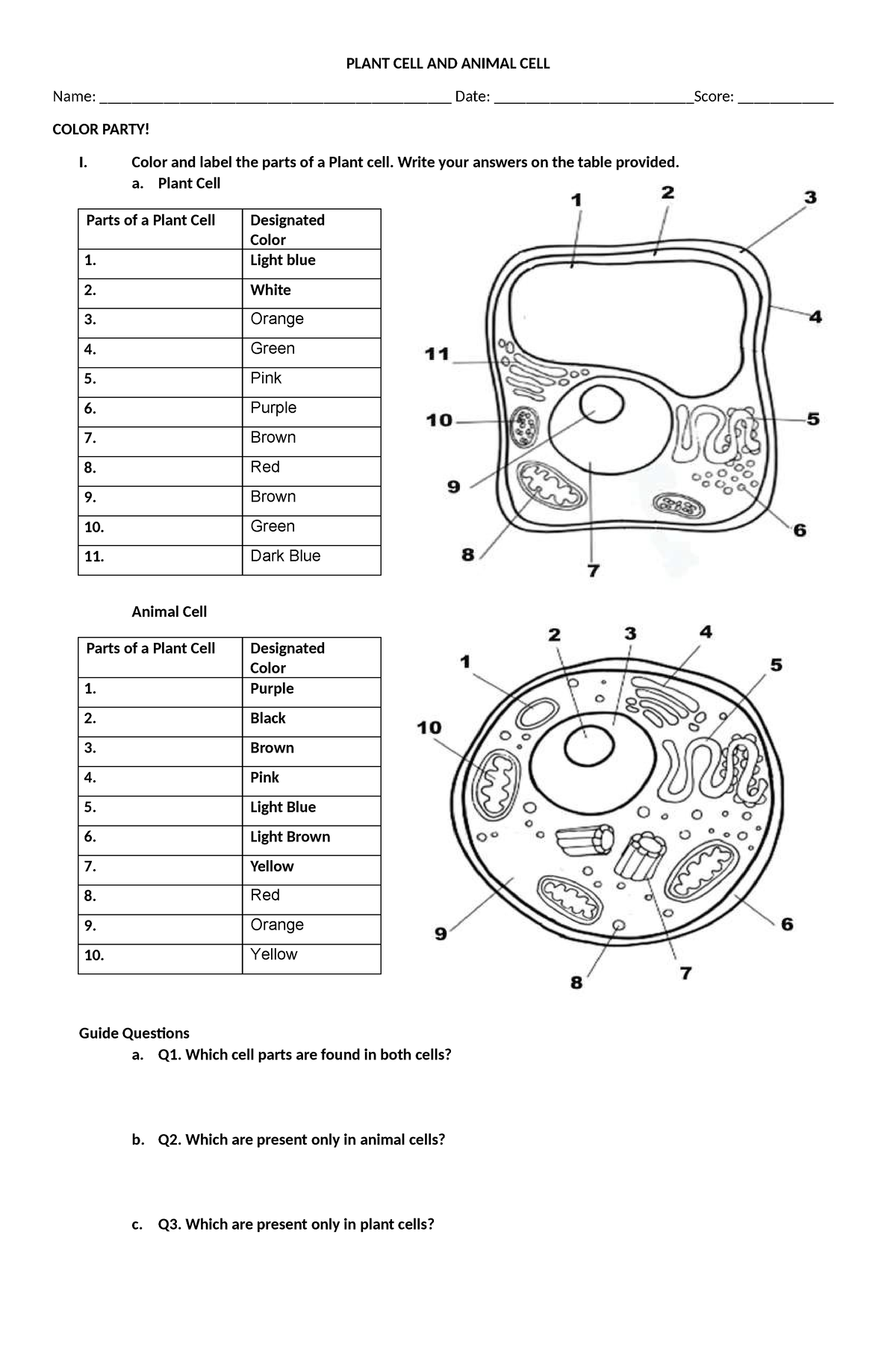 Plant CELL AND Animal CELL - PLANT CELL AND ANIMAL CELL Name: - Studocu