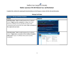 CYB 300 Milestone Three Worksheet Zemas Howard - CYB 300 Milestone ...