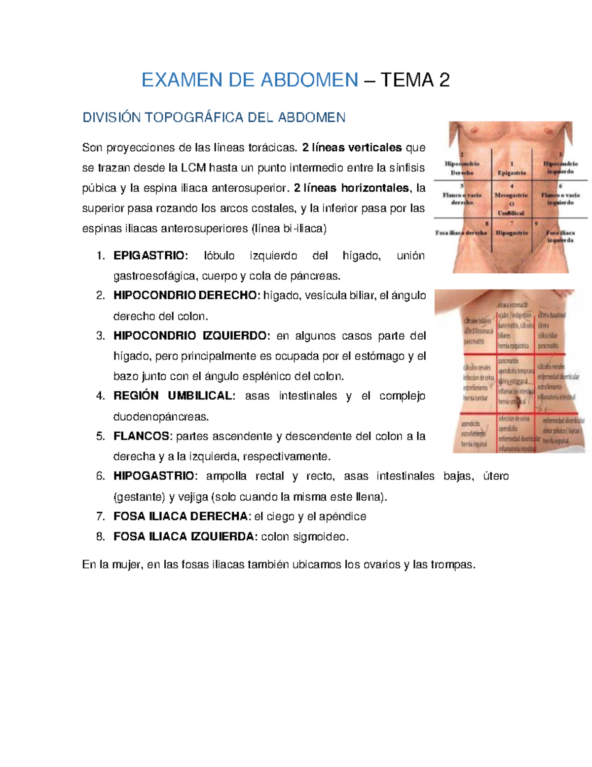 exploracion fisica de abdomen - EXAMEN DE ABDOMEN – TEMA 2 DIVISIÓN ...