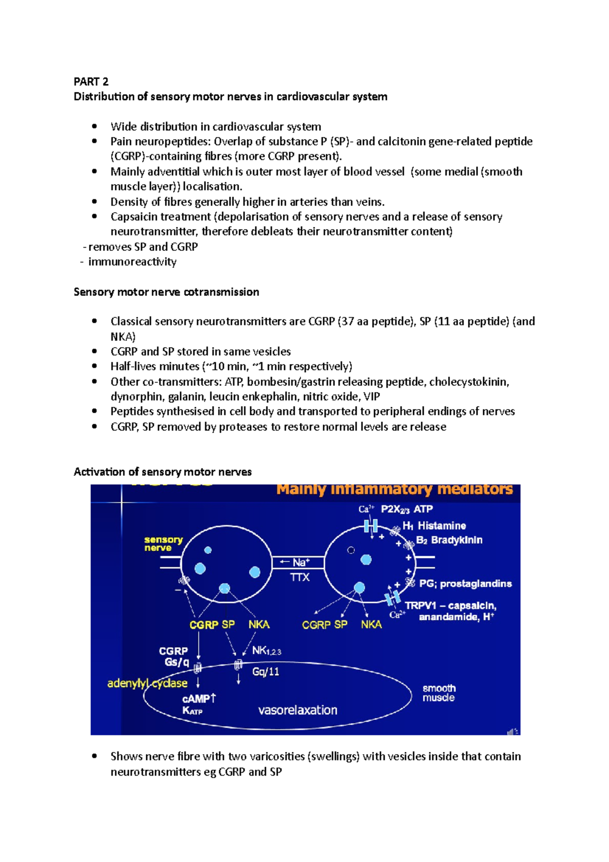 Sensory Motor Neurotransmission- Notes PART 2 - PART 2 Distribution Of ...