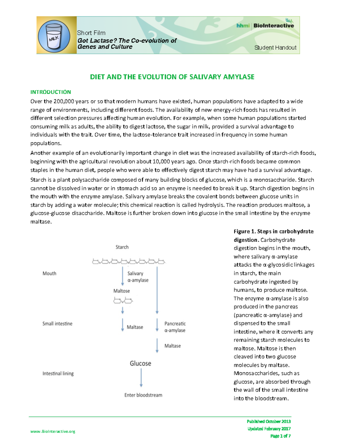 Lactase Evolution Salivary Amylase Student edited 4class