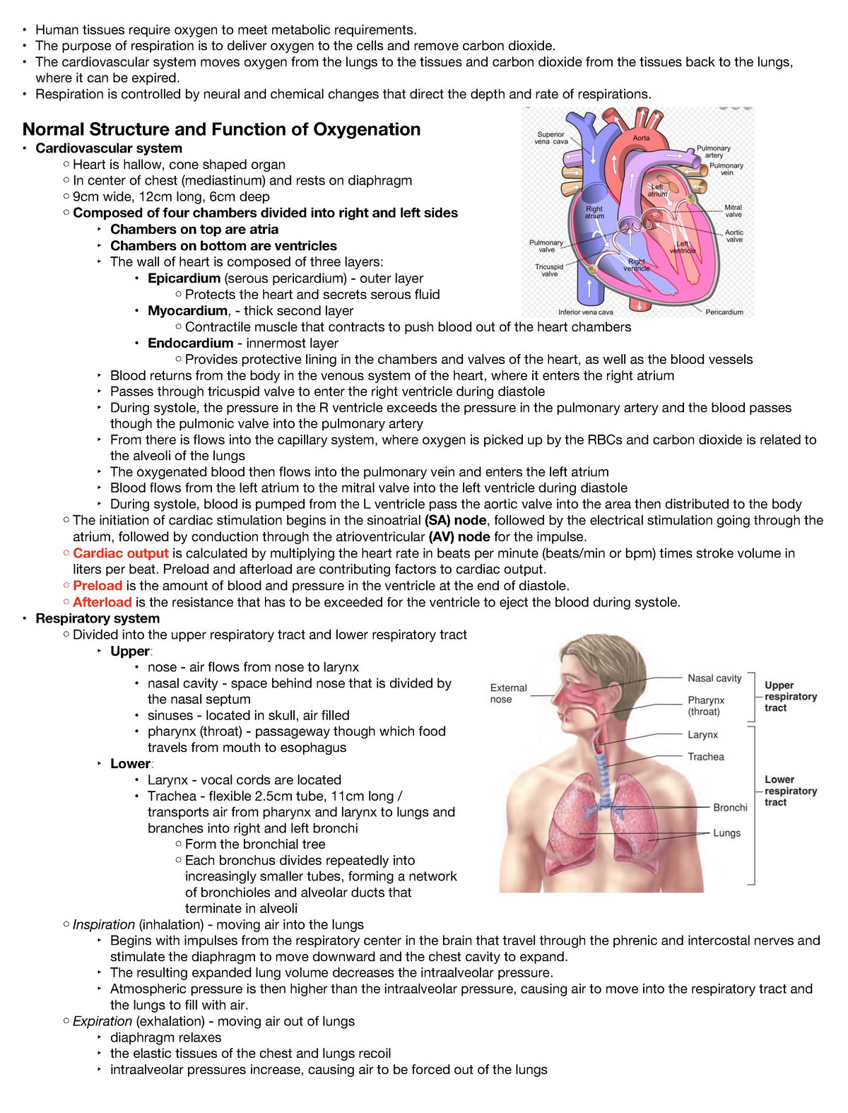 What Is The Process Of Perfusion