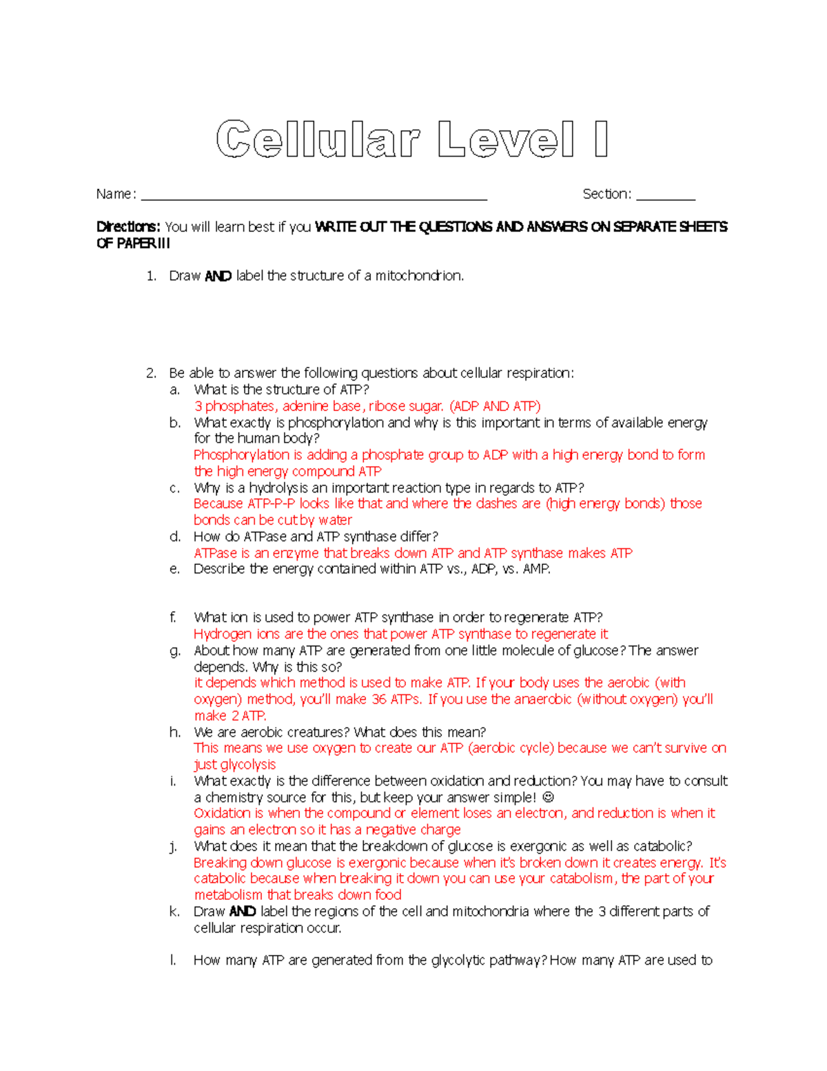 Cellular Level Review Guidemw - Name ...
