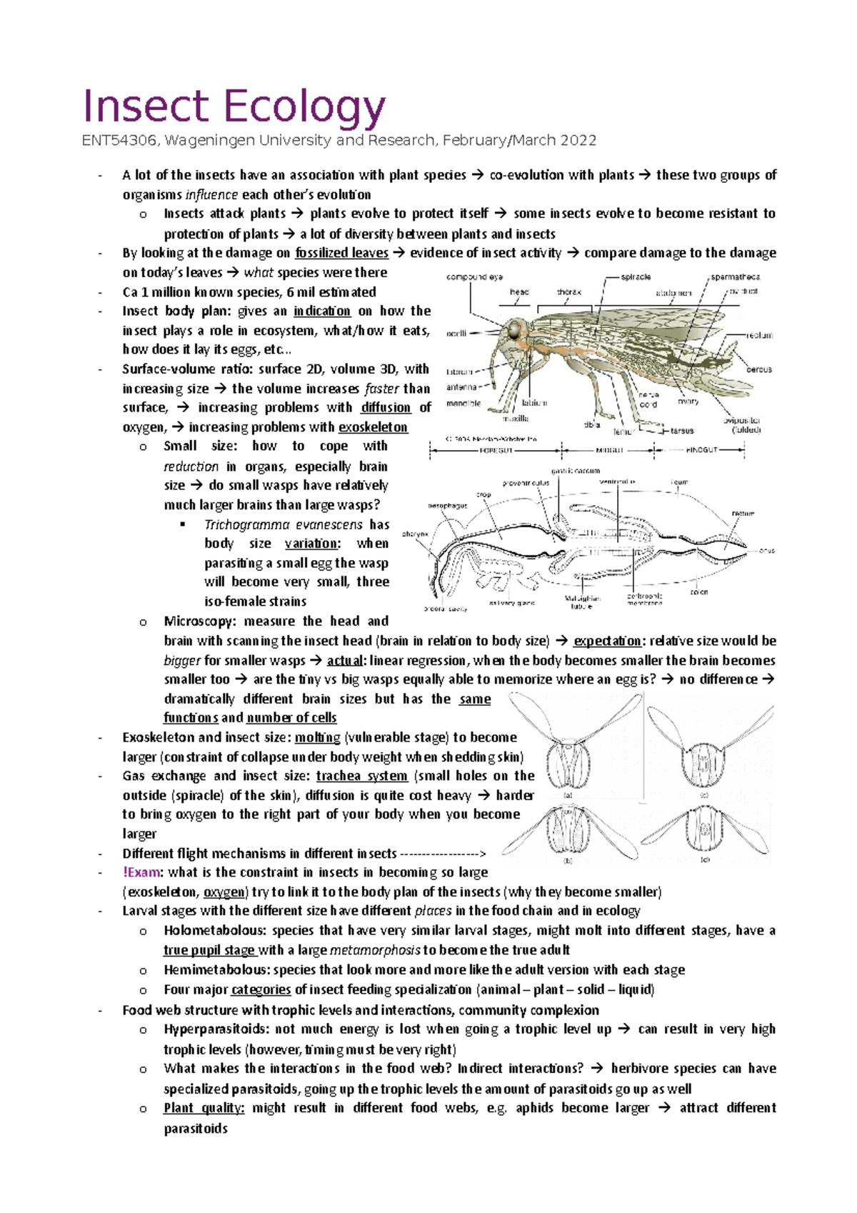 20220214 Insect Ecology Insect Ecology ENT54306, Wageningen