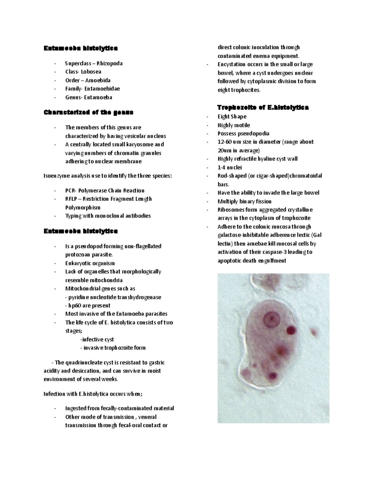 E Histolytica Notes For A Sample Of Parasitic Entamoeba Histolytica Superclass Rhizopoda 4561