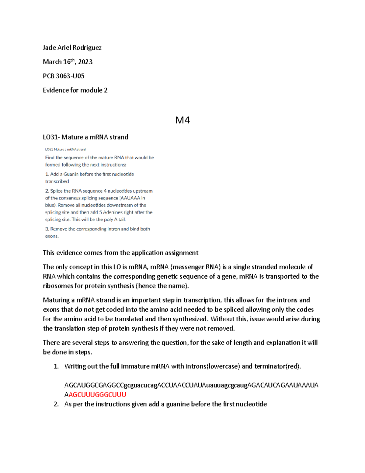 Evidence 2 - Assignment for genetics that is meant to show mastery over ...