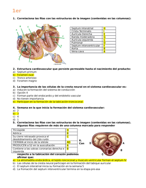 Absorción Distribución Y Eliminación De Los Fármacos.PDF - I ...