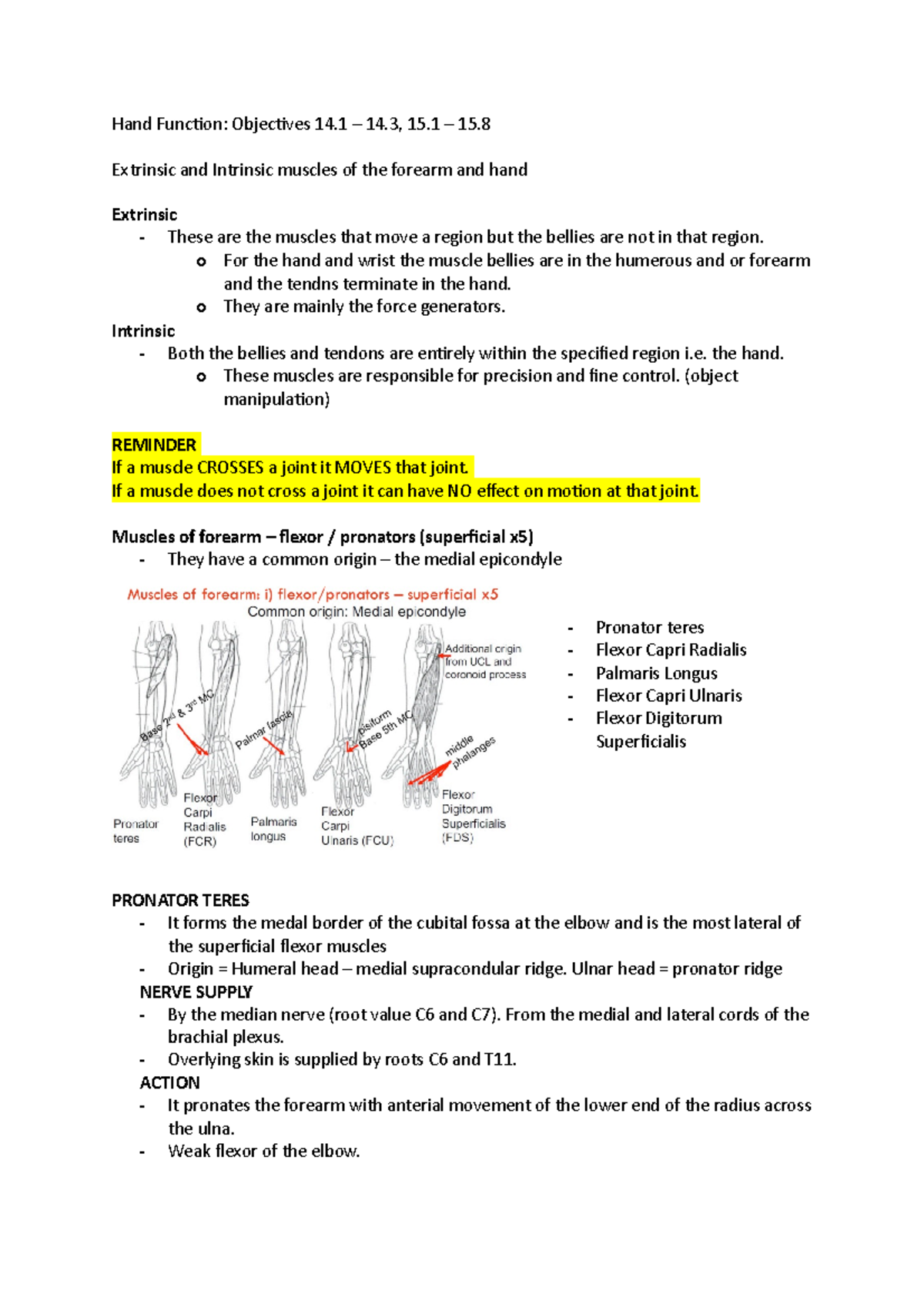 Hand Function - lecture Notes - Hand Function: Objectives 14 – 14, 15 ...