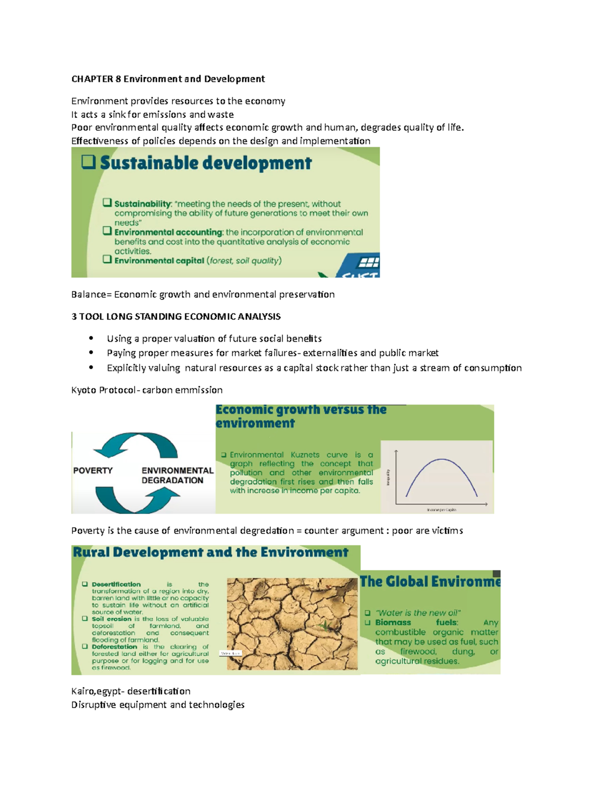 term paper on development and environment pdf