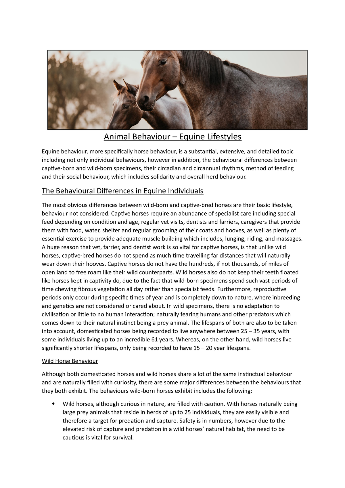 equine behaviour dissertation ideas