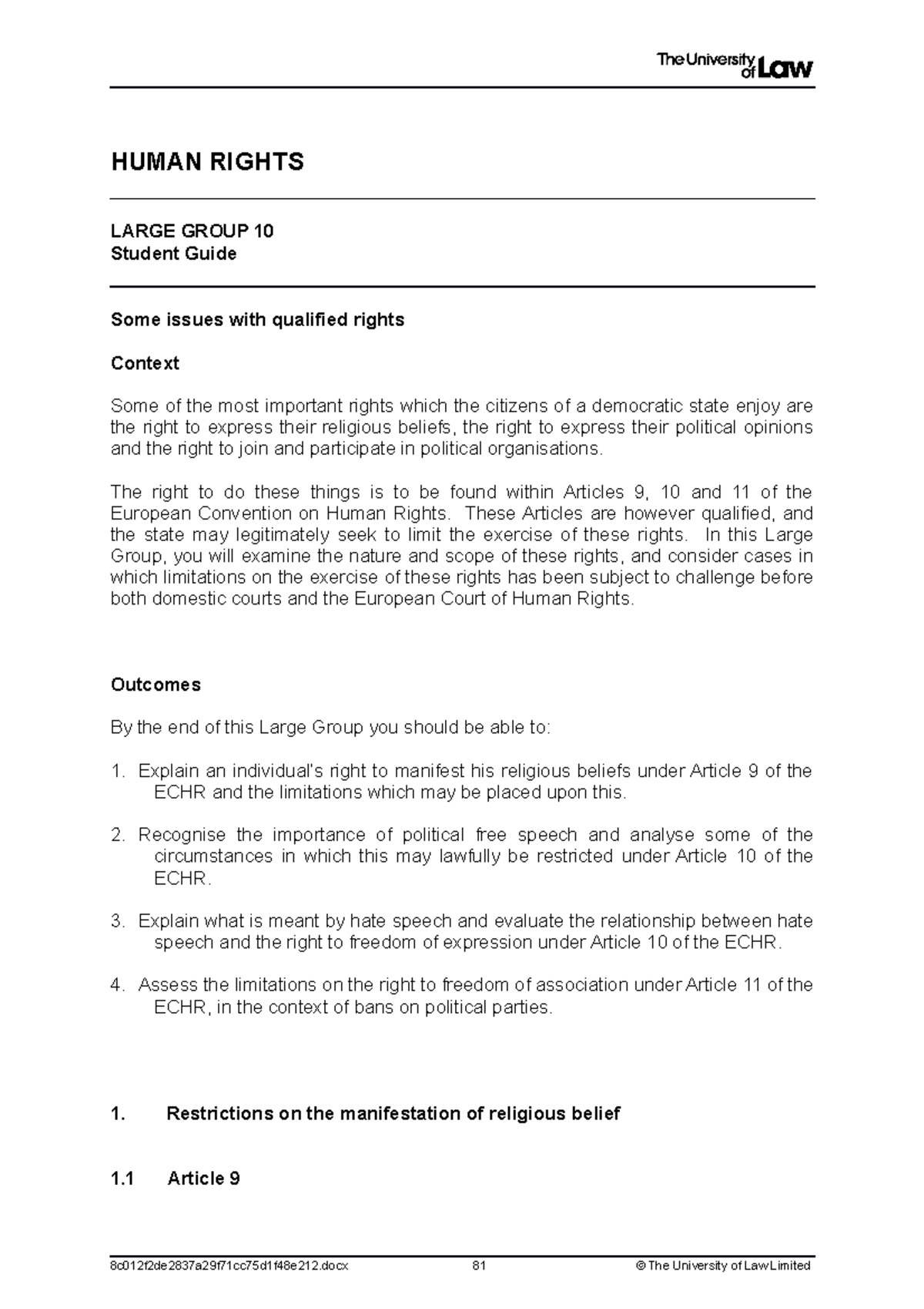 Large Group 10 - HUMAN RIGHTS LARGE GROUP 10 Student Guide Some issues ...