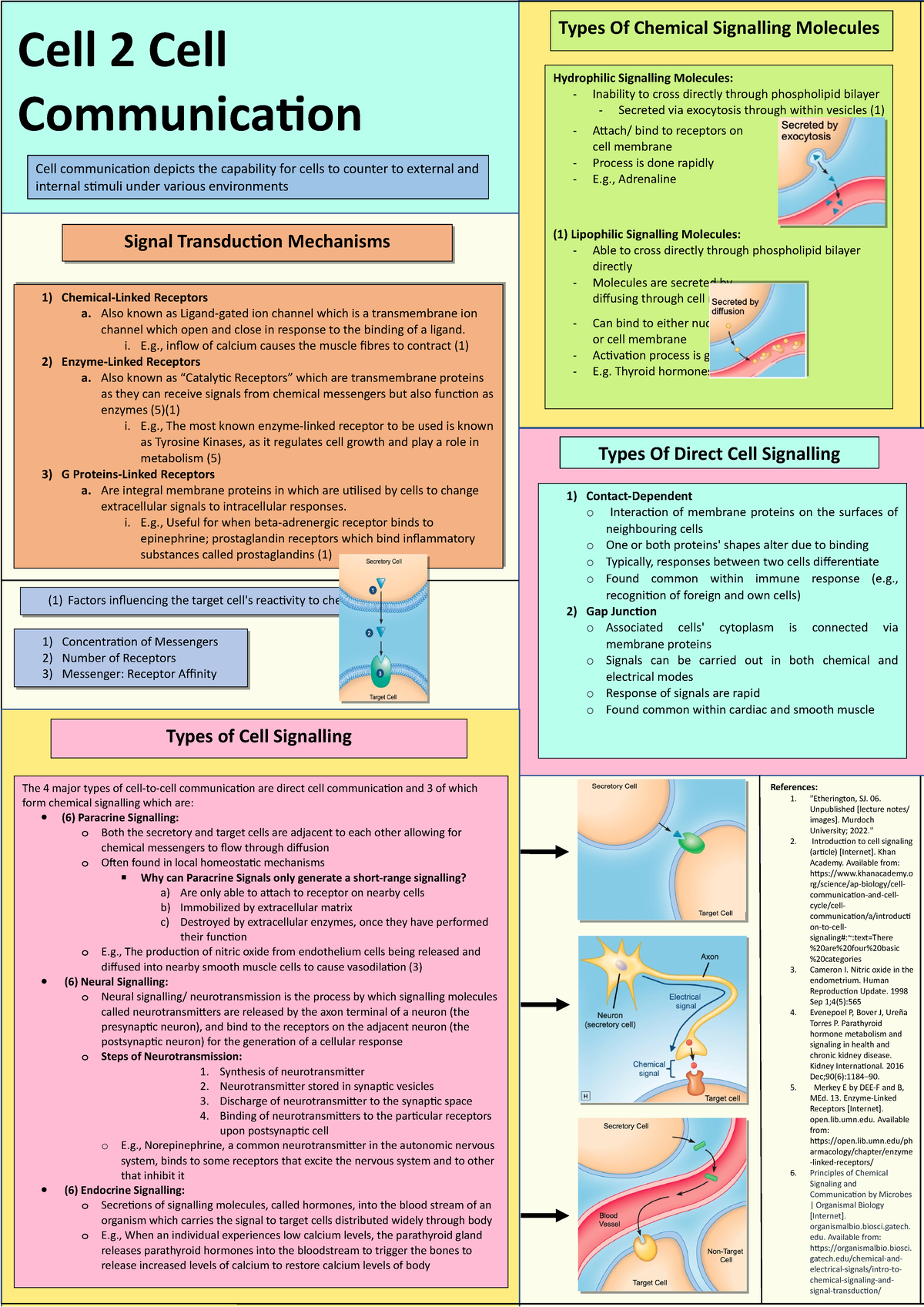 Poster - Hydrophilic Signalling Molecules: Inability to cross directly ...