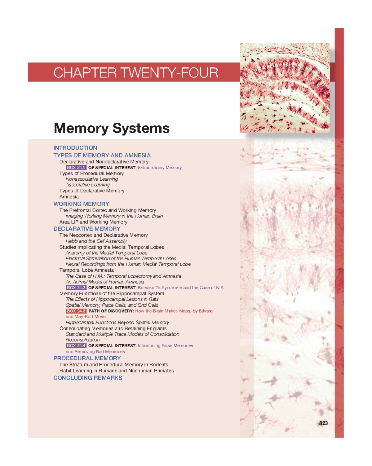 Chapter 24 Memory Systems - CHAPTER TWENTY-FOUR 823 Memory Systems ...