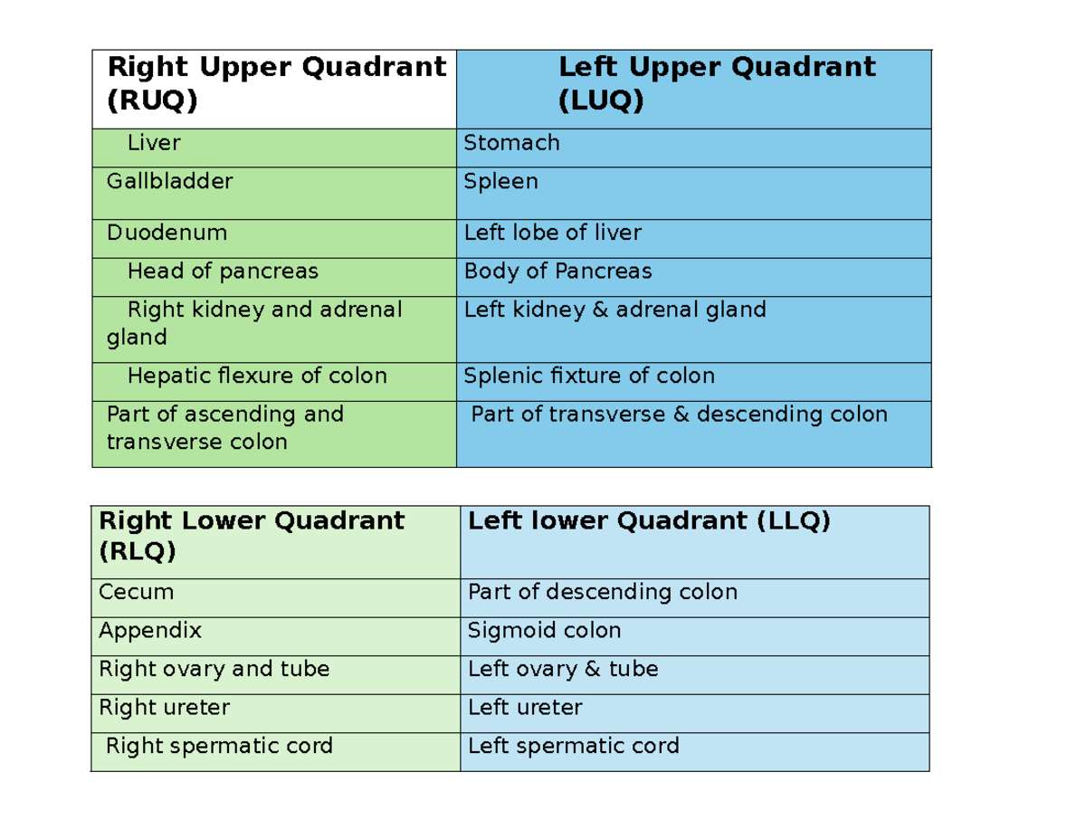 Quadrant wise oragns - Right Upper Quadrant (RUQ) Left Upper Quadrant ...