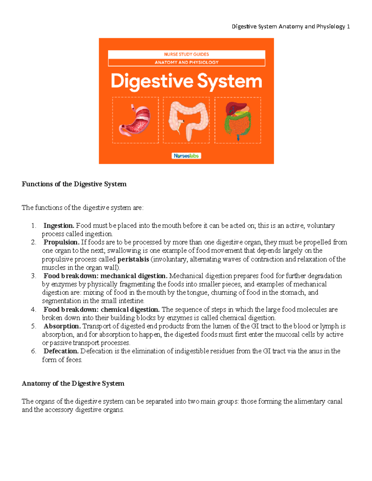 Digestive System Anatomy and Physiology Functions of the Digestive