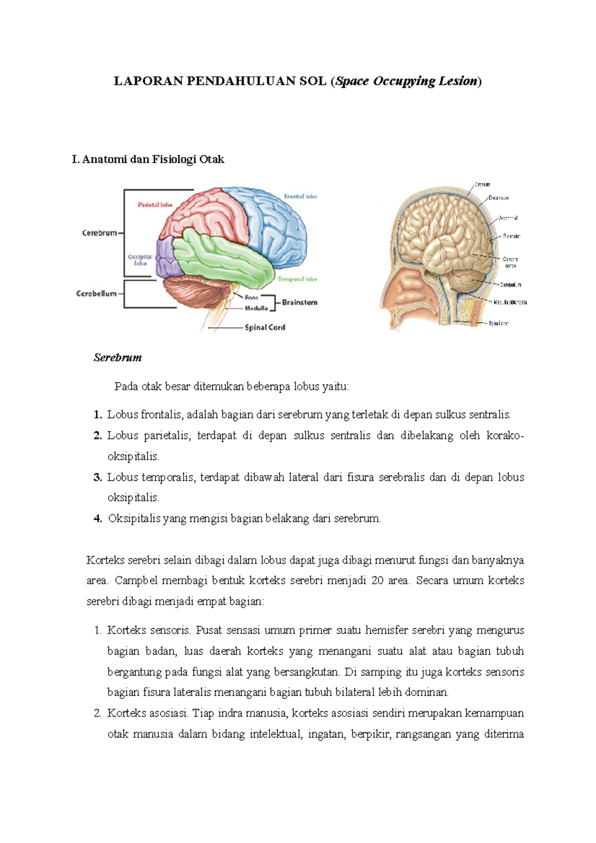 pdf-clinical-pattern-of-intra-cranial-space-occupying-lesion-in