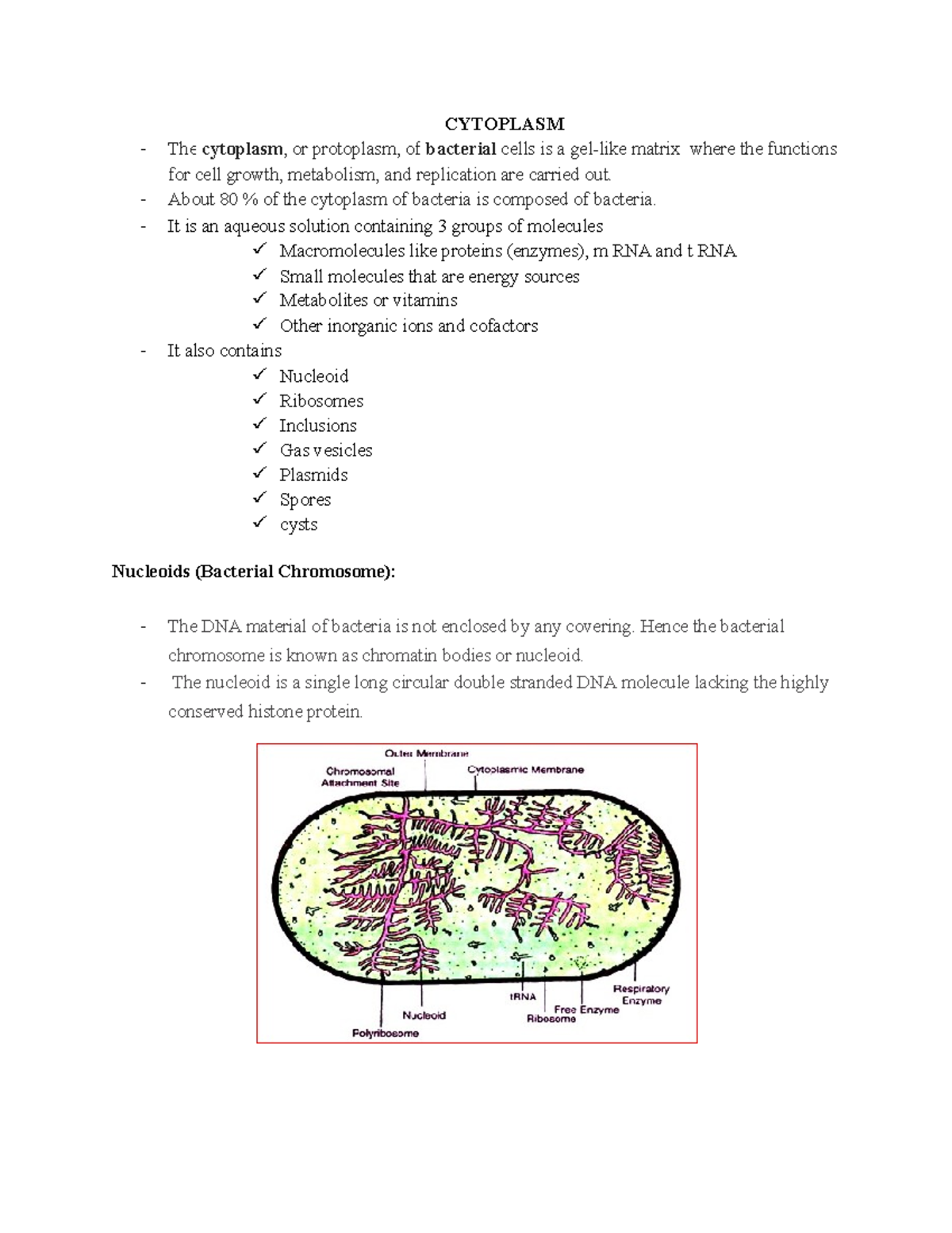 Cytoplasm Its a lecture note CYTOPLASM The cytoplasm, or protoplasm
